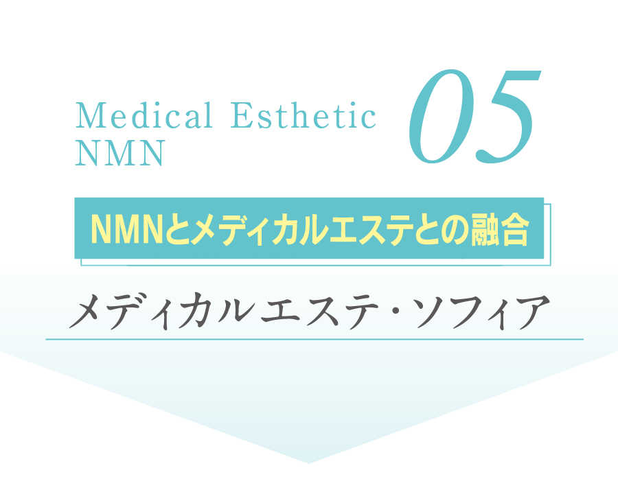 05 NMN原料の安全性 国産で高純度高品質 大切なのは､「純度の高さ」と「不純物の安全性」です。安全で高品質のNMNサプリを選ぶためには､NMN成分の生産方法について知る必要があります。